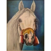 Głowa konia Arab Bandos Zagórze - olej 1978 r.
