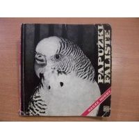 Papużki faliste - Jan Landowski